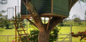 River-Oaks-treehouse-1170x578